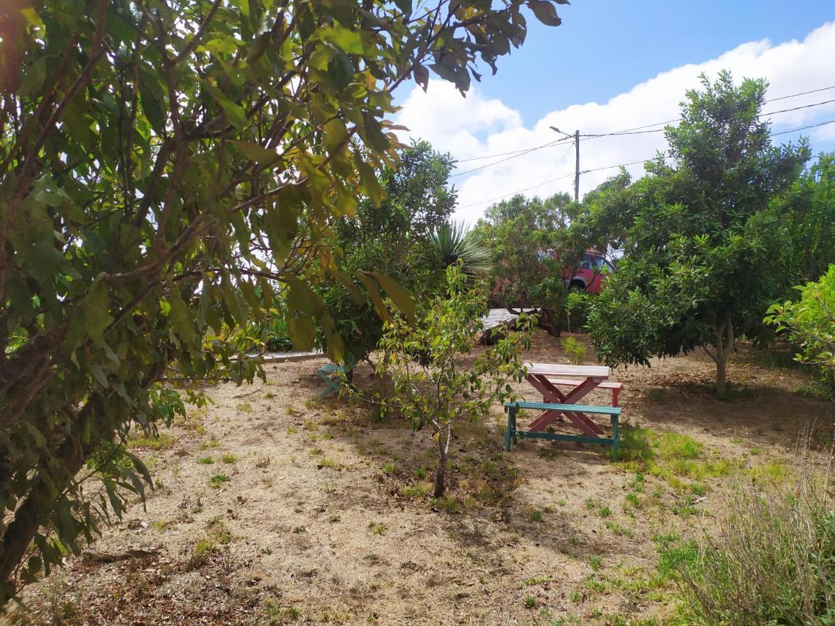 Сasa de vacaciones Sanjora *