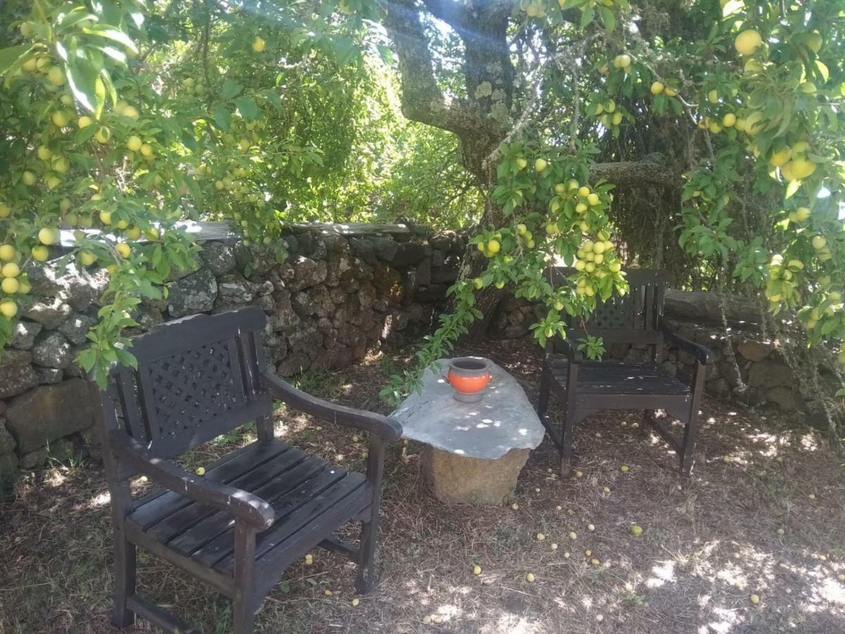 Сasa de vacaciones Sanjora *
